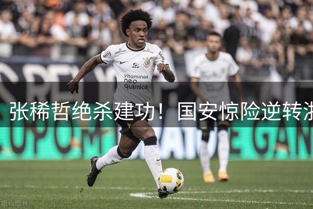 张稀哲绝杀建功！国安惊险逆转浙江 豪取关键三分